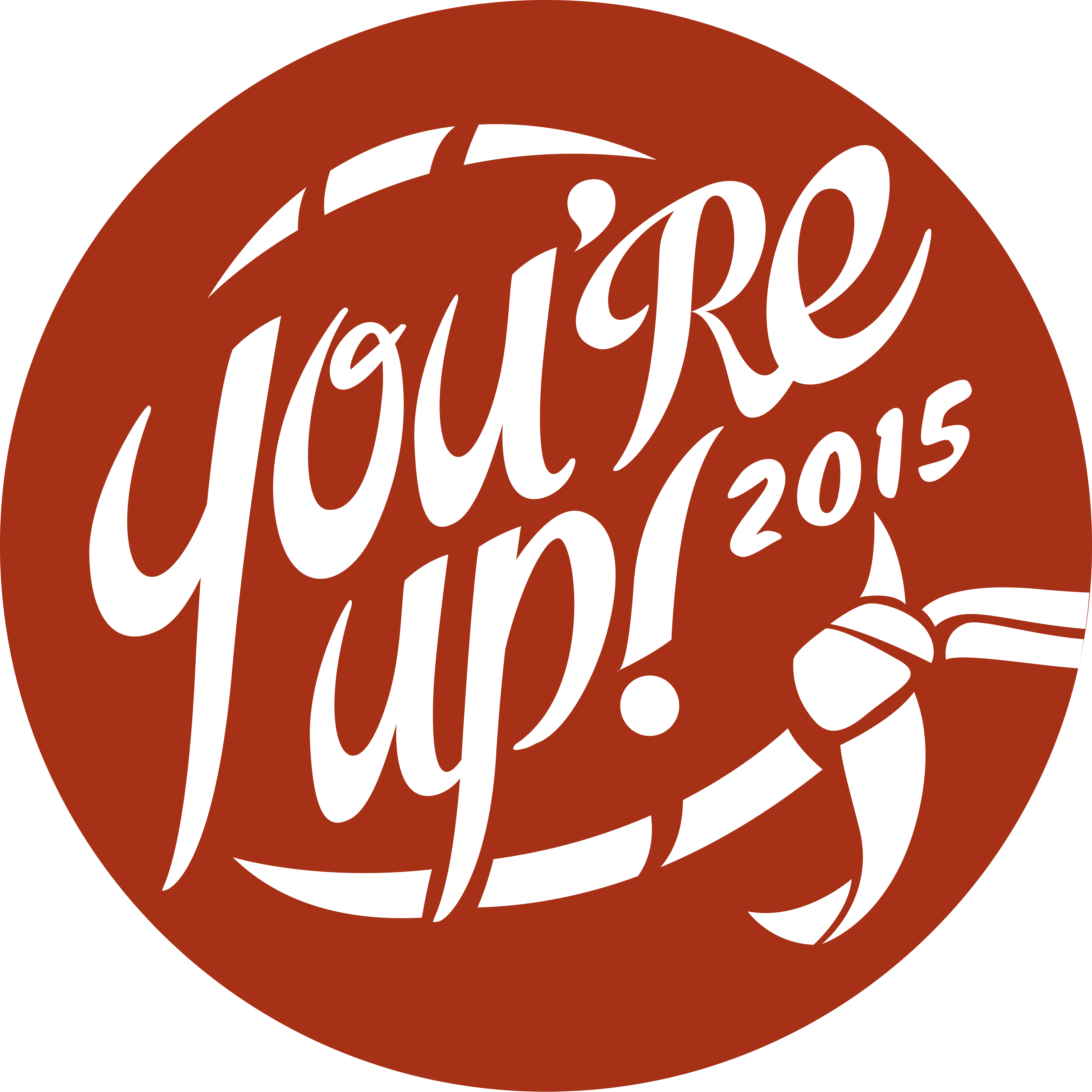 you-re-up-2015-cerceta-ii-rom-niei